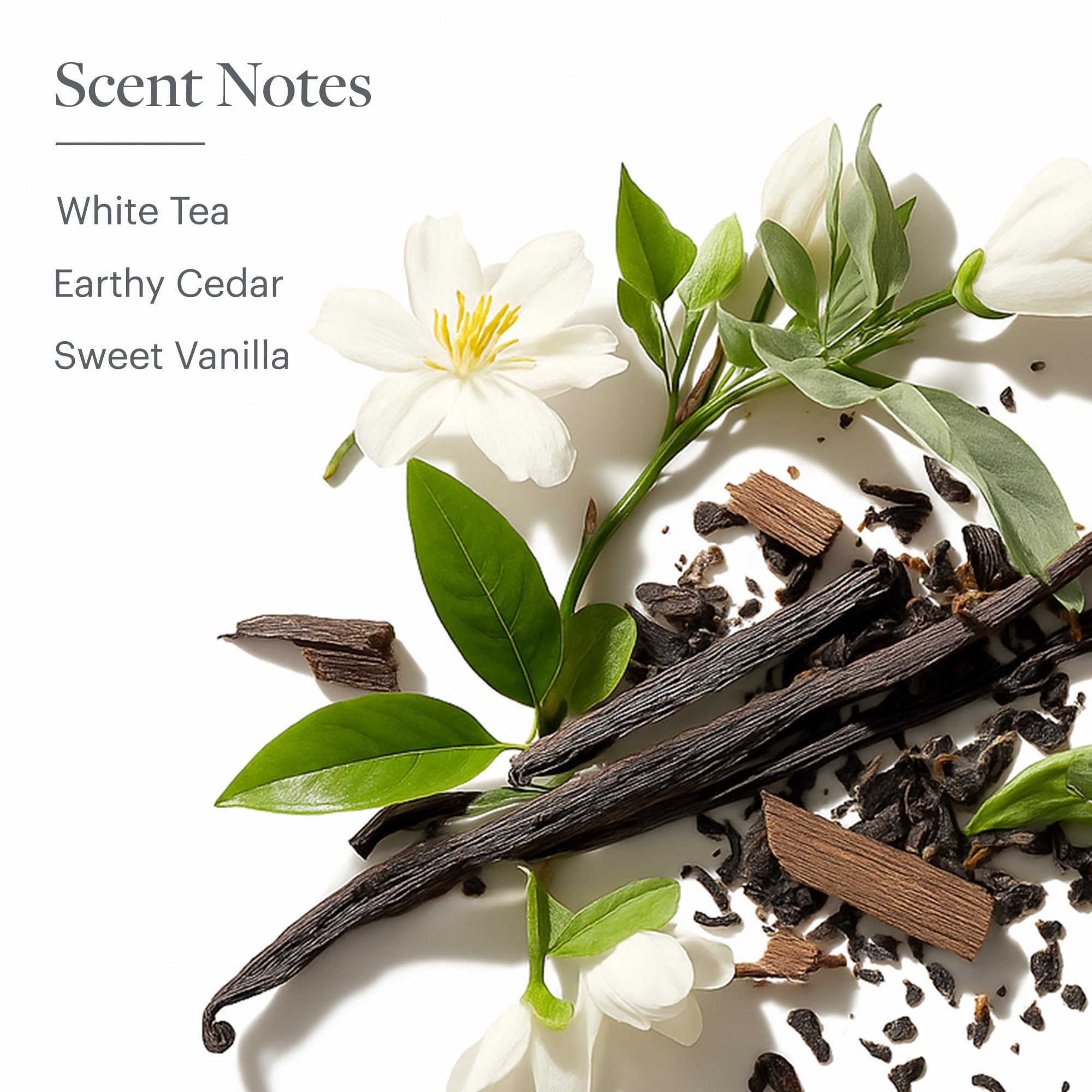 Westin White Tea Hand Soap flat lay with bottle and leaves.