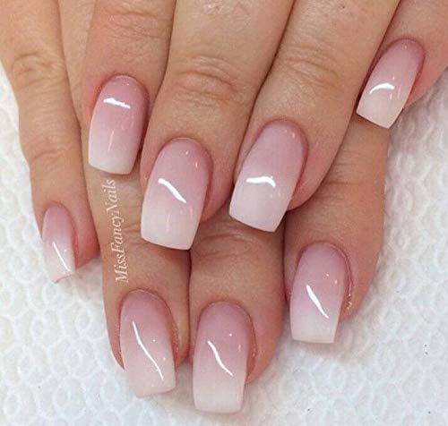 Conjunto de 7 tamaños de Winstonia para extensión y coloración, enfoque ovalado