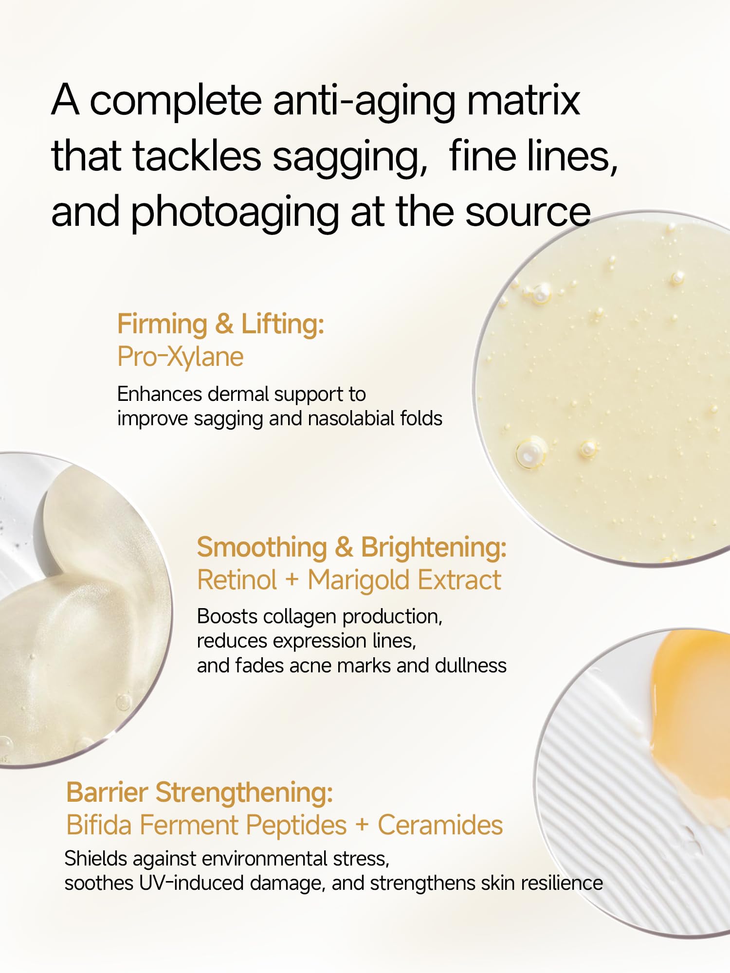 Ingredients of WNP Gentle Retinol Cream with peptides, ceramides, pro-xylane