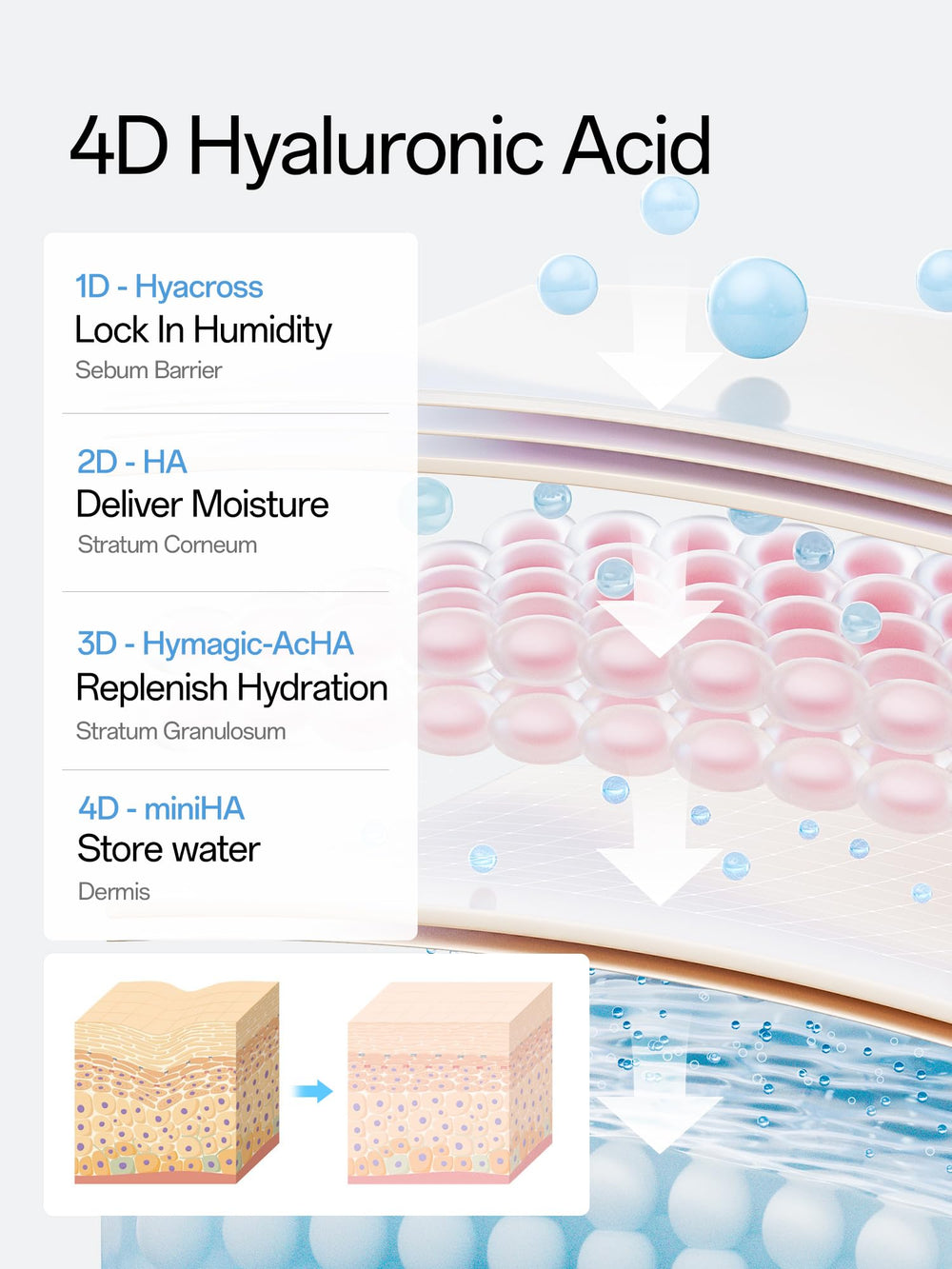WNP Hyaluronic Acid Serum 3% under makeup for a smoother base.