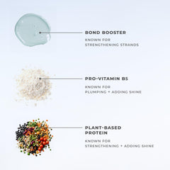 XMONDO Hair 5-Minute Top Coat application hands demonstrates easy, mess-free 5-minute color deposit.