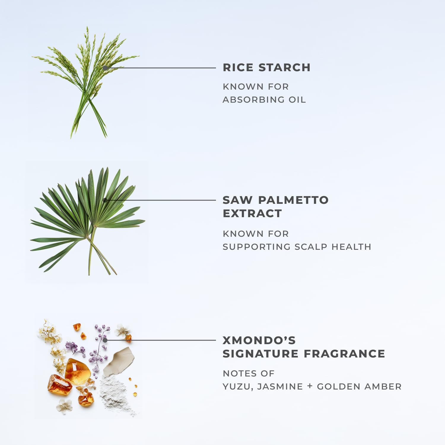 XMONDO Hair BOOST X bottle with rice starch ingredient indicates gentle oil absorption