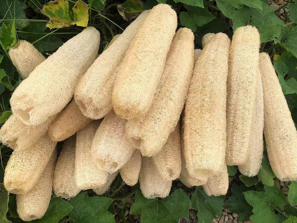 YEMTAL 4-pack loofah sponges in compressed packaging that expands when soaked
