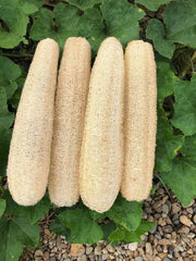 YEMTAL natural loofah sponges pack for gentle daily exfoliation during bath routines
