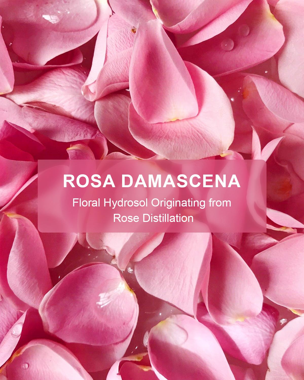 Yoken Rose Water used as DIY skincare base for customizable routines.