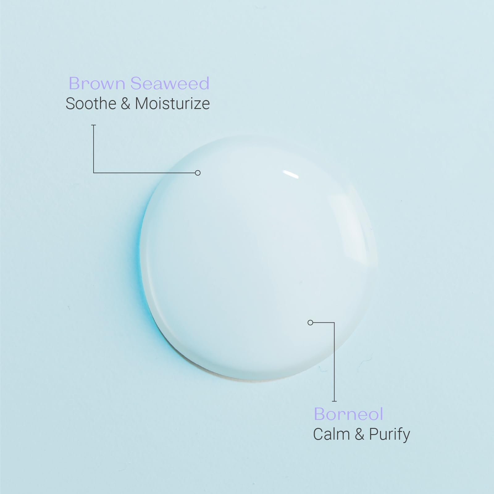 Yon-Ka Lait Nettoyant plant ingredients borneol closeup underscores soothing purification