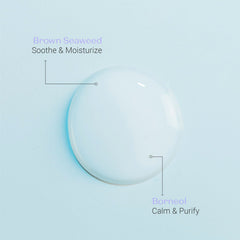 Yon-Ka Lait Nettoyant plant ingredients borneol closeup underscores soothing purification