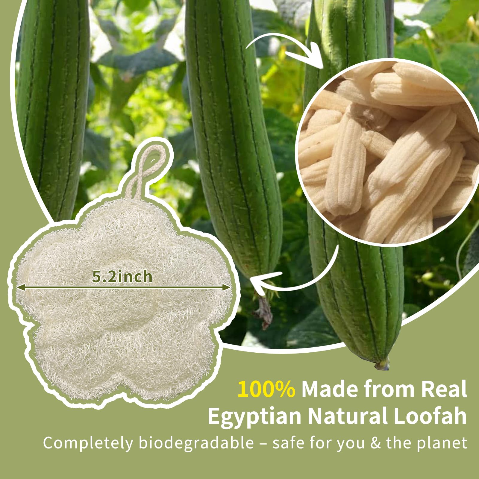 YOTDHUO travel zipper bag loofah keeps packing organized.