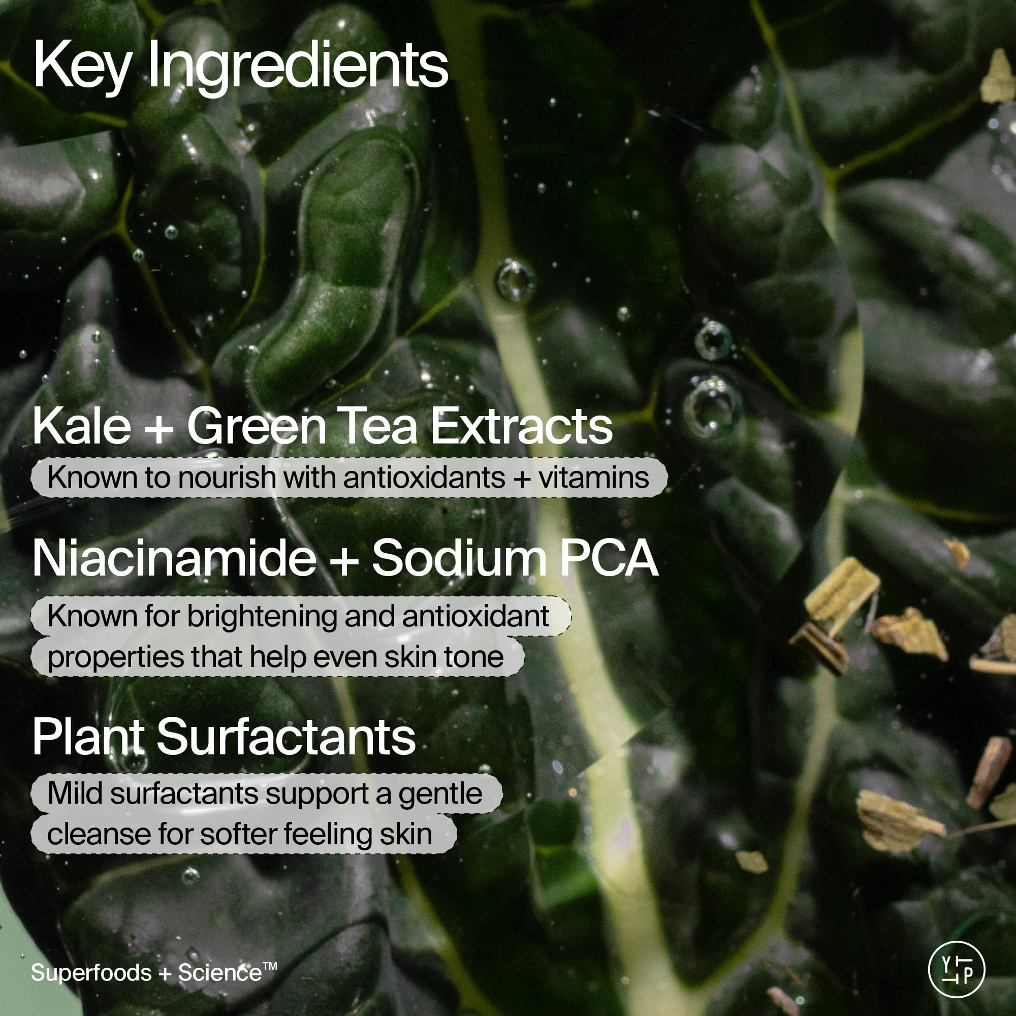Youth To The People Superfood + Niacinamide Body Wash closeup of green formula texture