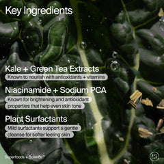 Youth To The People Superfood + Niacinamide Body Wash closeup of green formula texture