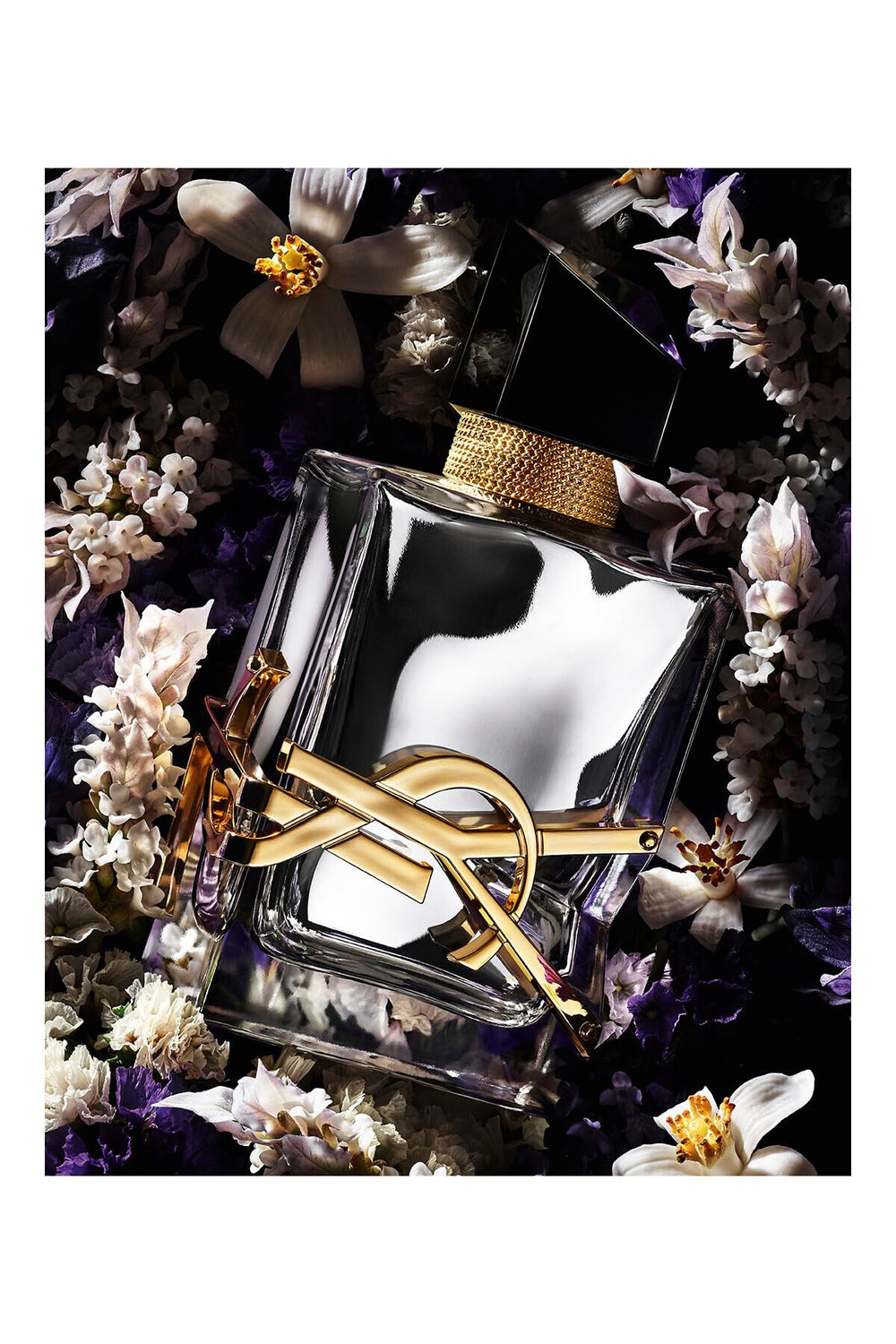 YSL Libre LAbsolu Platine cap detail showcasing premium packaging and luxury design.