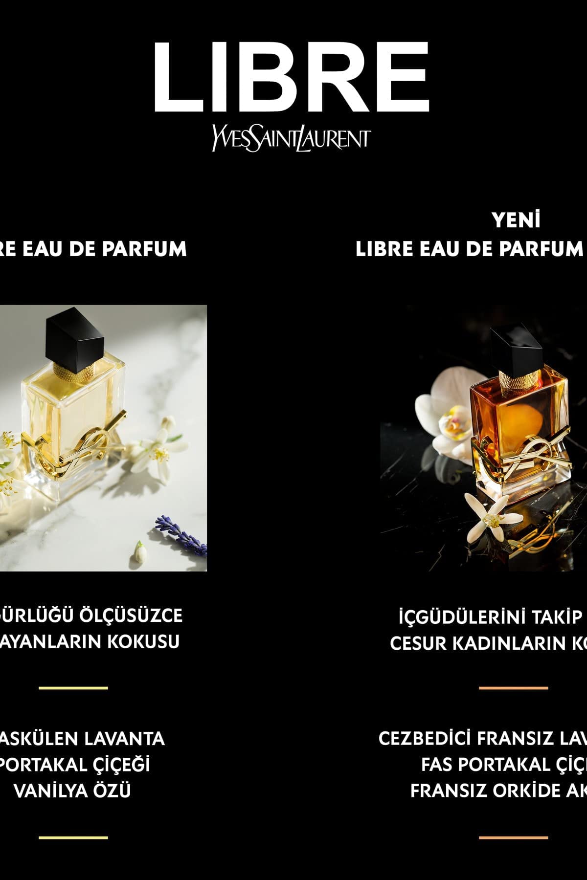 Yves Saint Laurent Libre Intense notas olfativas, experiencia sensorial envolvente.