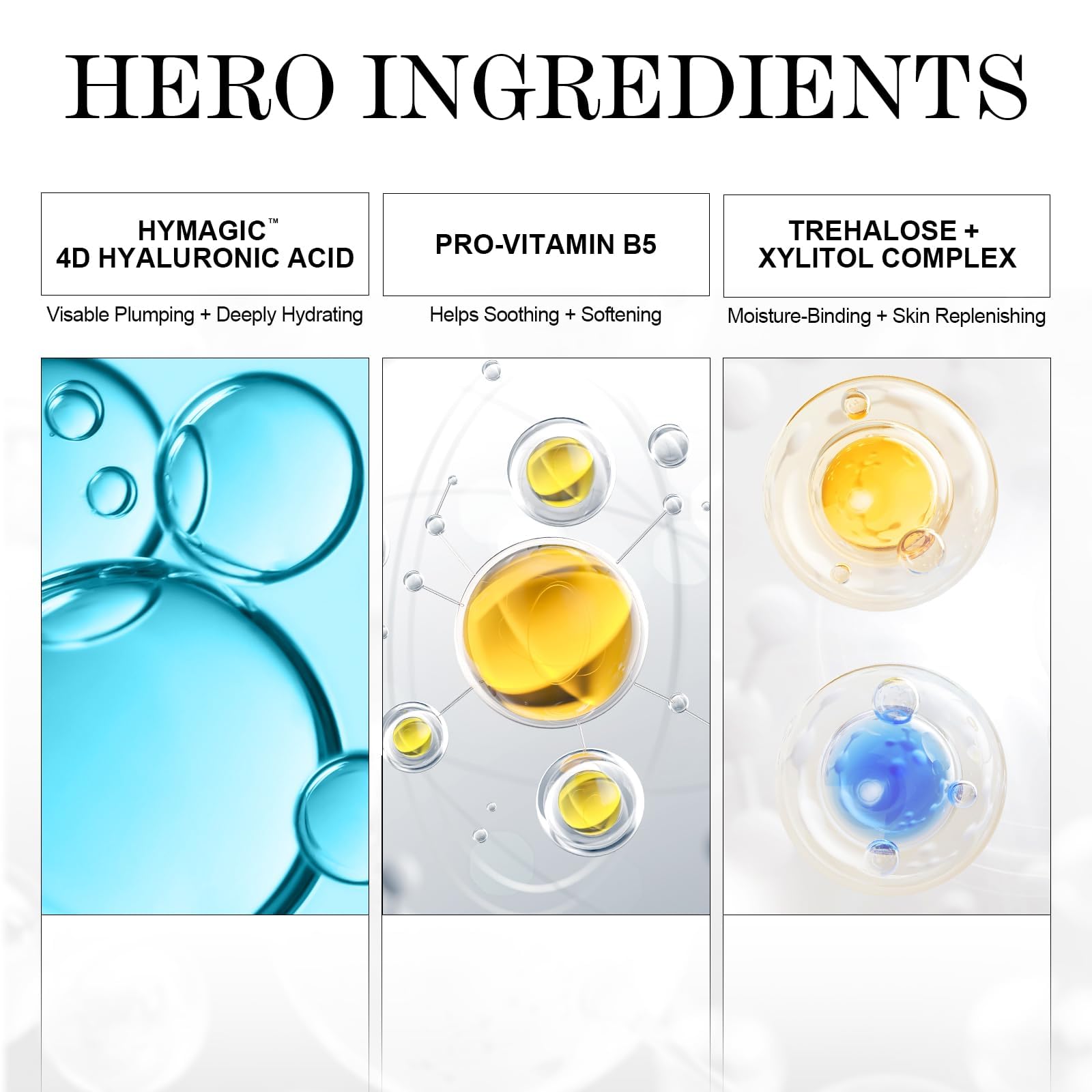 ZealSea influencer praise and skincare routine usage shown.