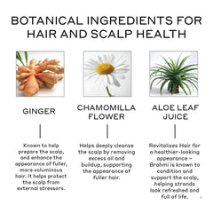 Zenagen Revolve Conditioner ingredients panel highlights plant-based, color-safe formula for fine hair.