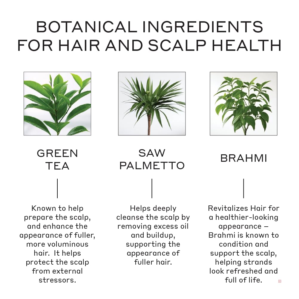 Zenagen Revolve plant-based formula supports healthy scalp.