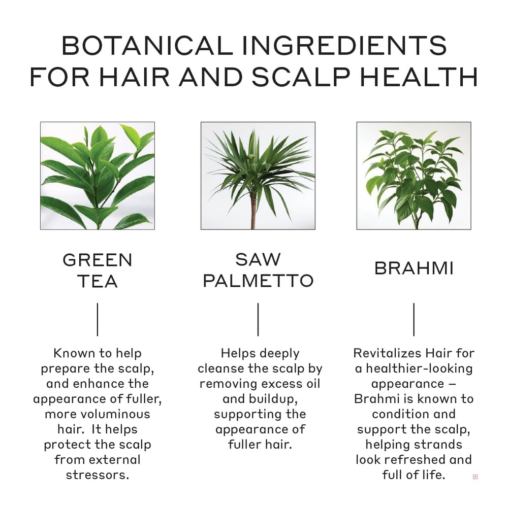 Zenagen Revolve plant-based formula supports healthy scalp.
