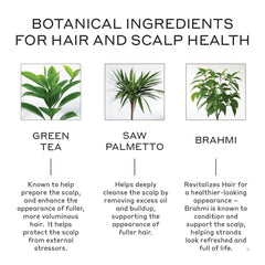 Zenagen Revolve plant-based formula supports healthy scalp.
