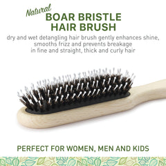 Zollo boar and nylon bristles close-up showing detangling and oil distribution.