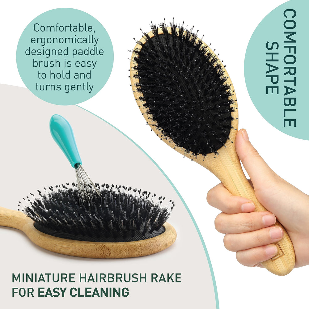 Zollo compact travel case keeps the brush ready for outings.